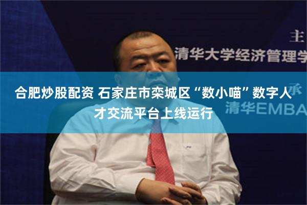 合肥炒股配资 石家庄市栾城区“数小喵”数字人才交流平台上线运行