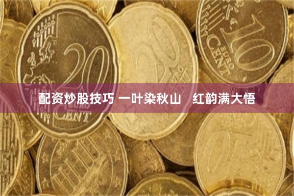 配资炒股技巧 一叶染秋山   红韵满大悟