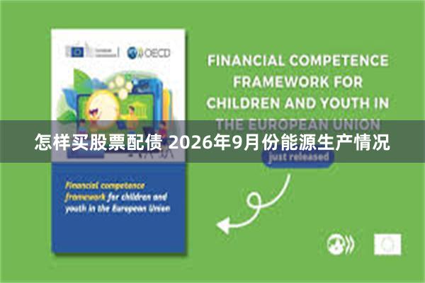 怎样买股票配债 2026年9月份能源生产情况